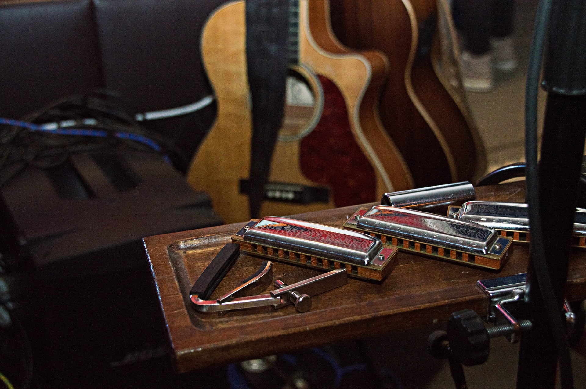 Blues Harmonica Player Blues Harmonica Player